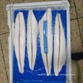 New Process Good Price Frozen Oilfish Fillet
